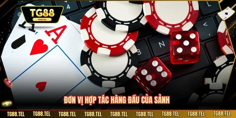 Casino TG88 2 Đơn vị hợp tác hàng đầu của sảnh